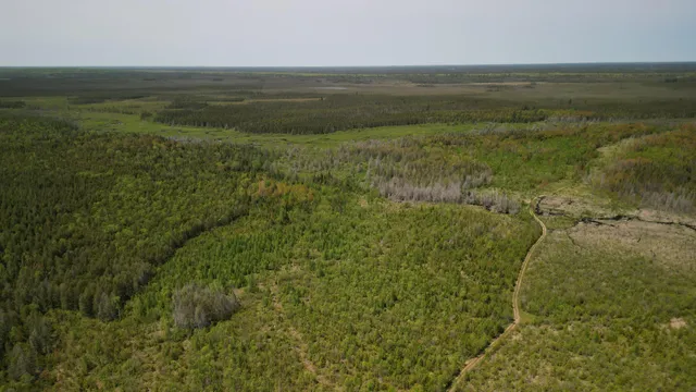 $600,000 | 609absec19t43nr13ws1/2ofse1/4, Germfask, MI 49836