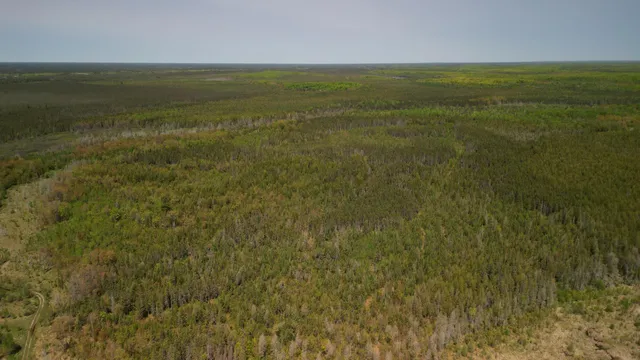 $600,000 | 609absec19t43nr13ws1/2ofse1/4, Germfask, MI 49836