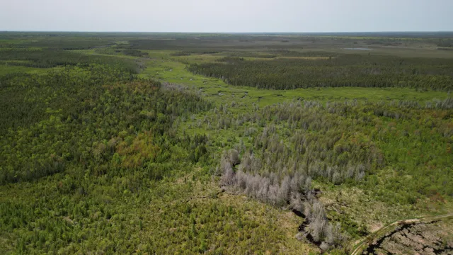 $600,000 | 609absec19t43nr13ws1/2ofse1/4, Germfask, MI 49836