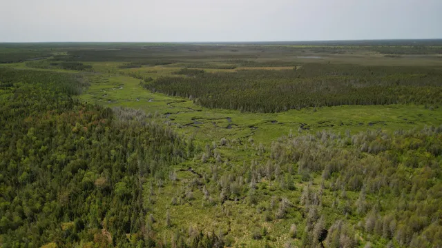 $600,000 | 609absec19t43nr13ws1/2ofse1/4, Germfask, MI 49836