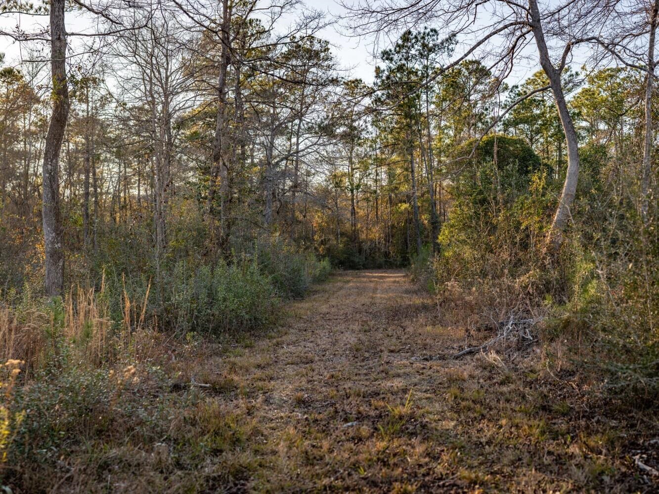 0 Kennedy Road Bon Secour, AL 36511 - Photo 13 of 25