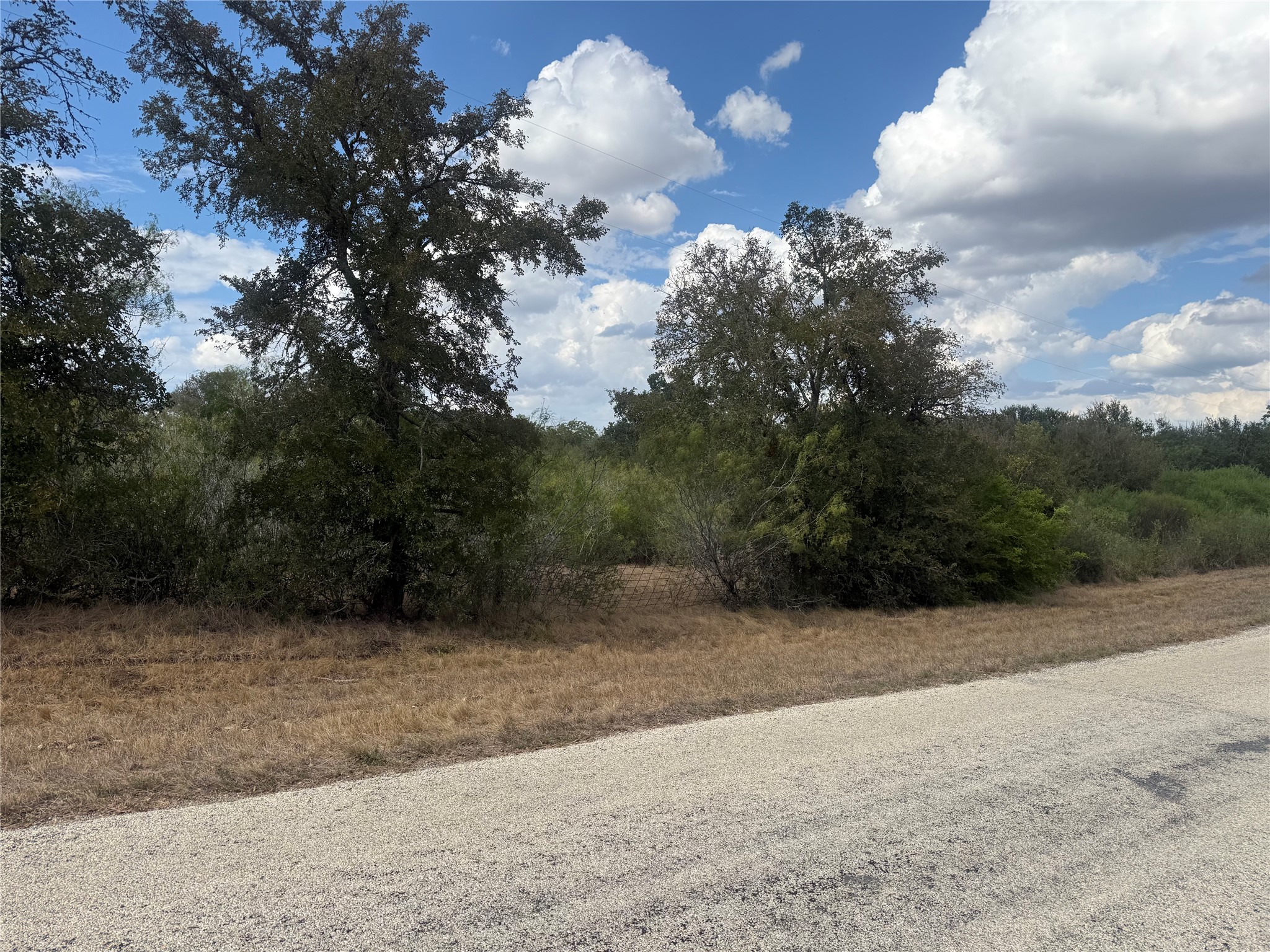 Mature trees frame the property line along a quiet paved road.