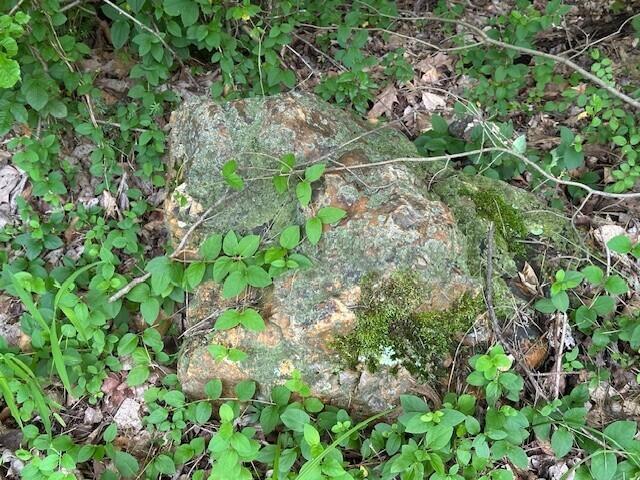 7751 Mulberry Road Heath, OH 43056 - Photo 50 of 70 LARGE FLINT ROCK
