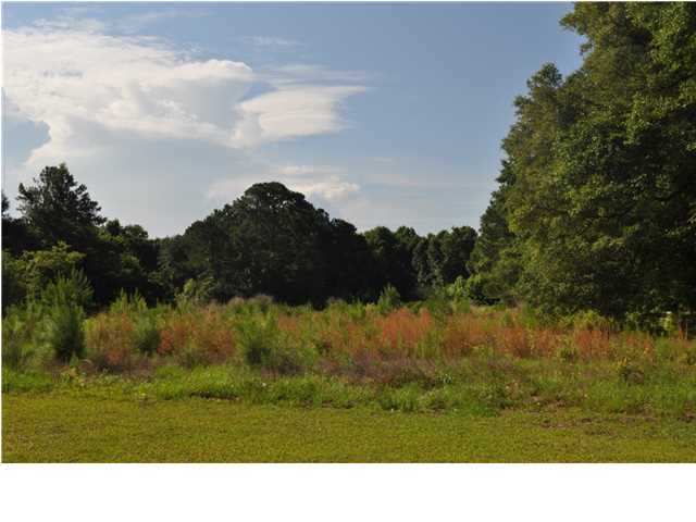 2751 Bohicket Road Johns Island, SC 29455 - Photo 1 of 3 Primary Photo