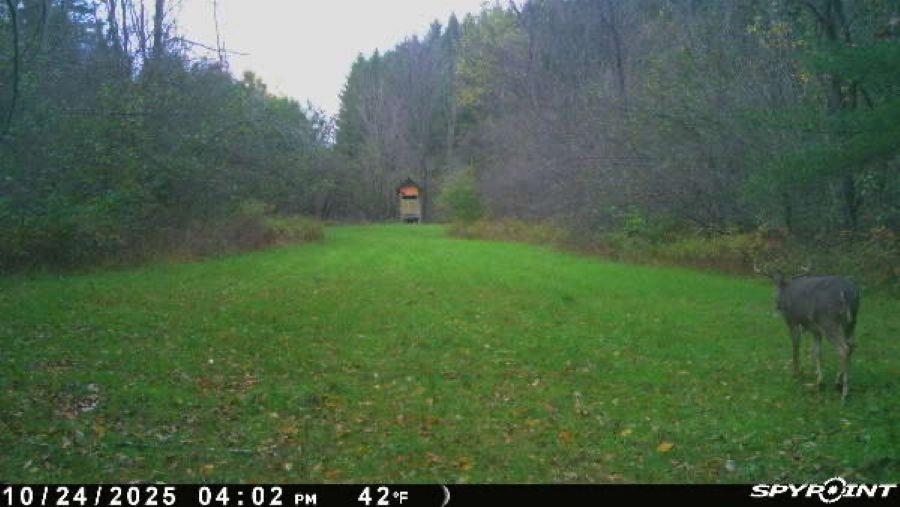 188 West Procunier Road Mikado, MI 48745 - Photo 5 of 20