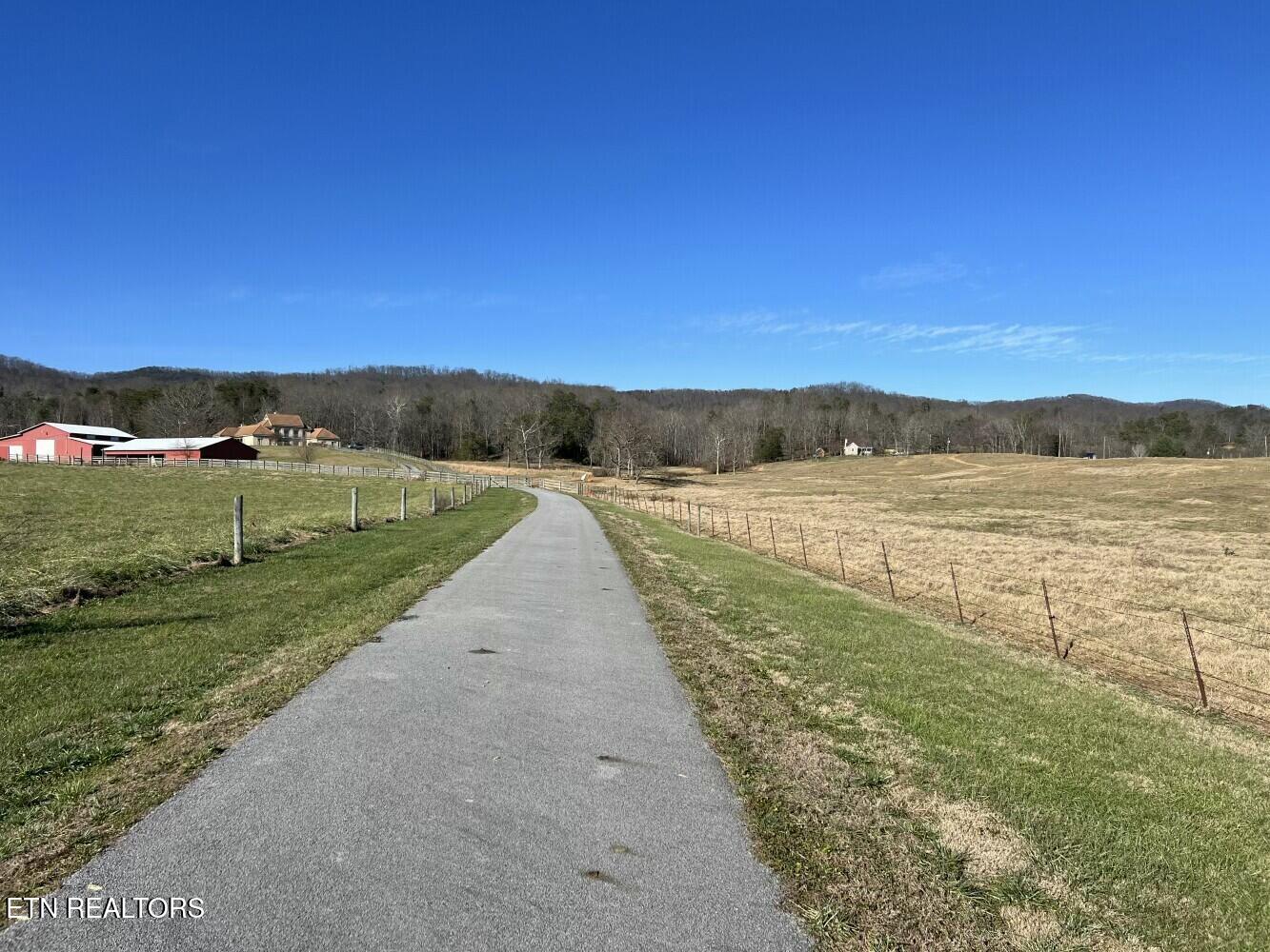 3229 Highway 11W Rutledge, TN 37861 - Photo 11 of 56 tempImagejp3Hcf