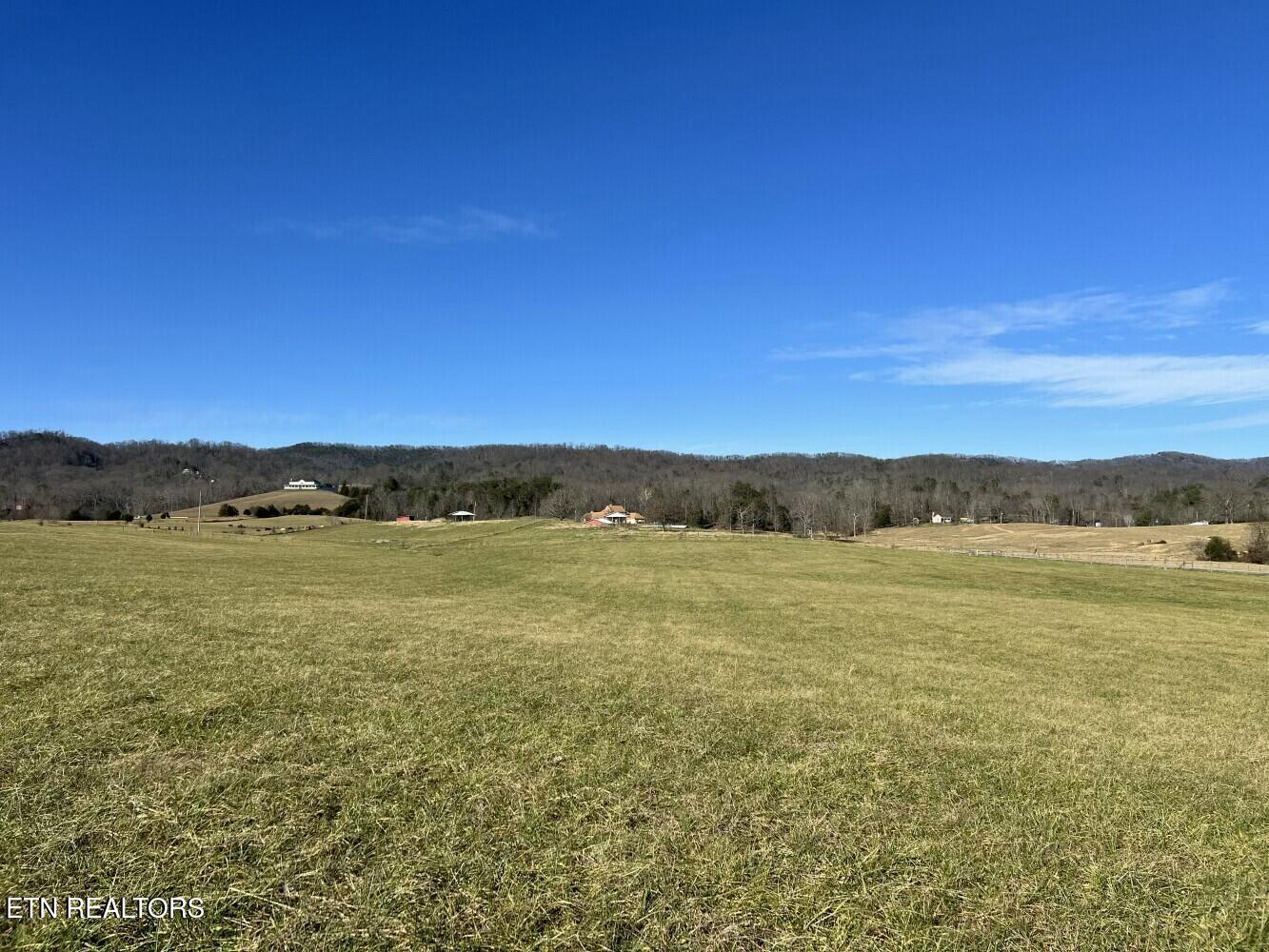 3229 Highway 11W Rutledge, TN 37861 - Photo 12 of 56 tempImageBTFUxZ