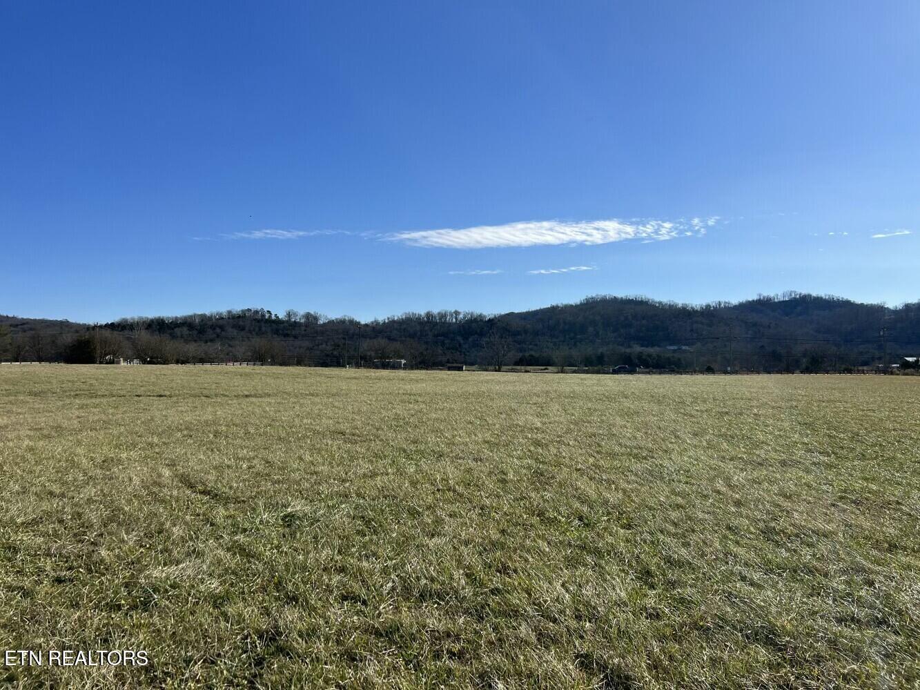 3229 Highway 11W Rutledge, TN 37861 - Photo 13 of 56 tempImagebqFw9A