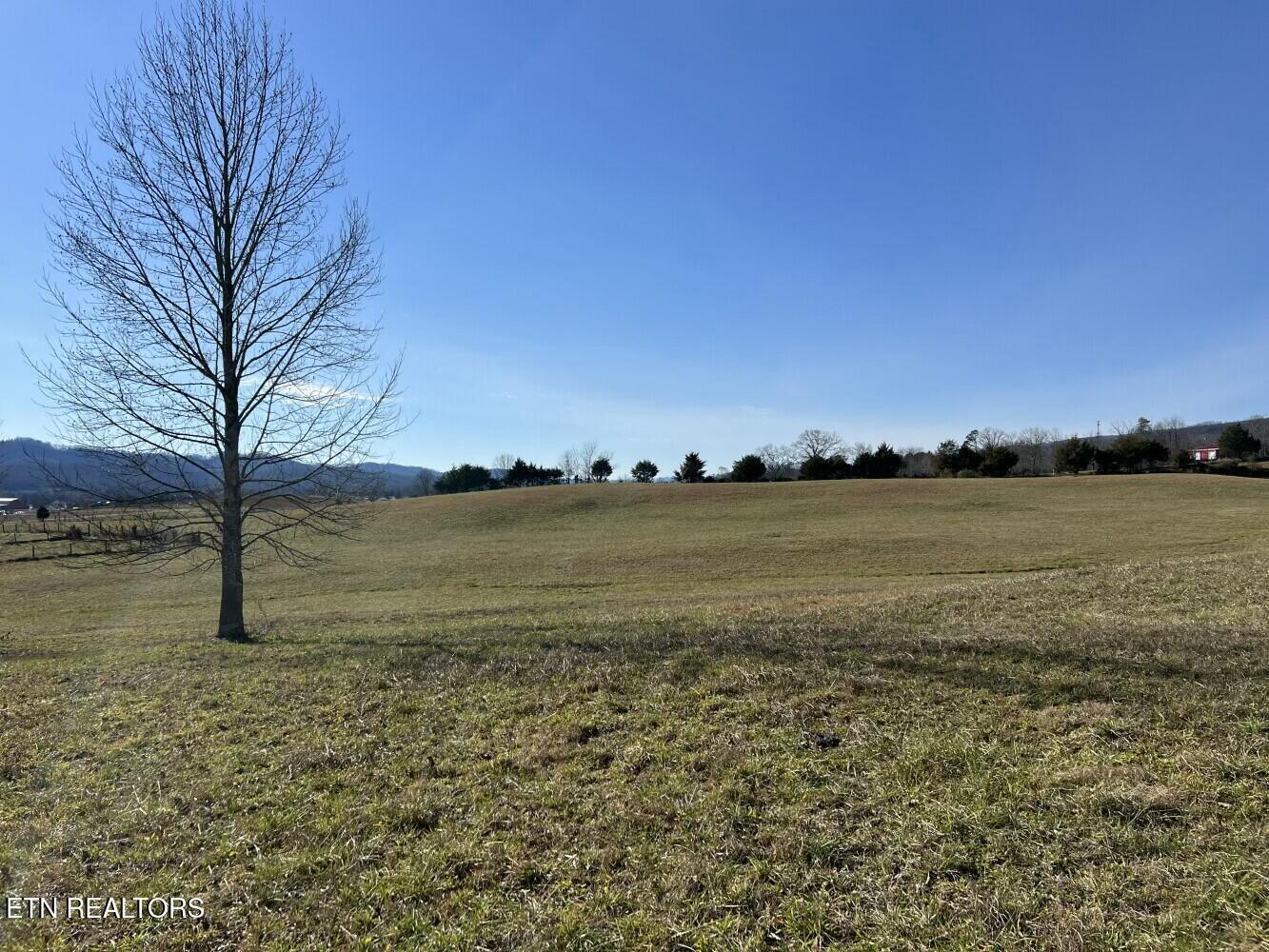 3229 Highway 11W Rutledge, TN 37861 - Photo 15 of 56 tempImageyVfB6k