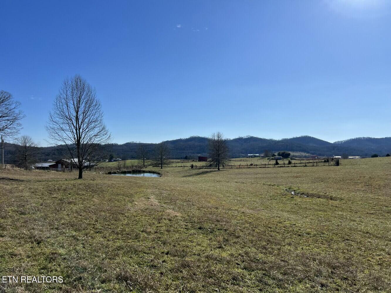 3229 Highway 11W Rutledge, TN 37861 - Photo 4 of 56 tempImageZGar8J