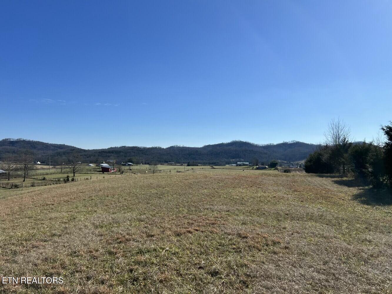 3229 Highway 11W Rutledge, TN 37861 - Photo 41 of 56 tempImagexAY5jd