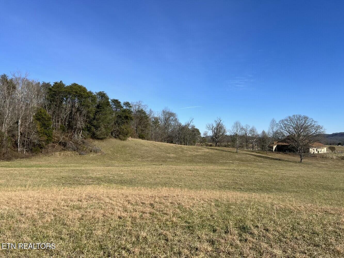 3229 Highway 11W Rutledge, TN 37861 - Photo 42 of 56 tempImage7jO4tF