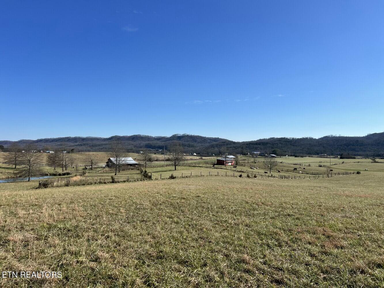 3229 Highway 11W Rutledge, TN 37861 - Photo 47 of 56 tempImageIbkj2L