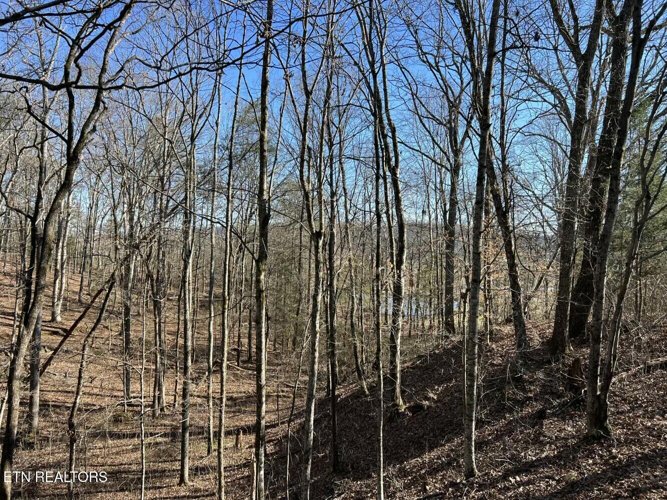 3229 Highway 11W Rutledge, TN 37861 - Photo 48 of 56 tempImagetrlEIS