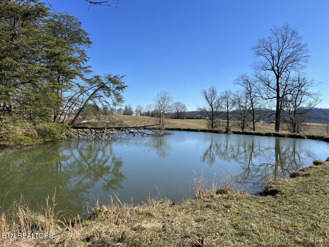 3229 Highway 11W Rutledge, TN 37861 - Photo 50 of 56 tempImageHSeeJo