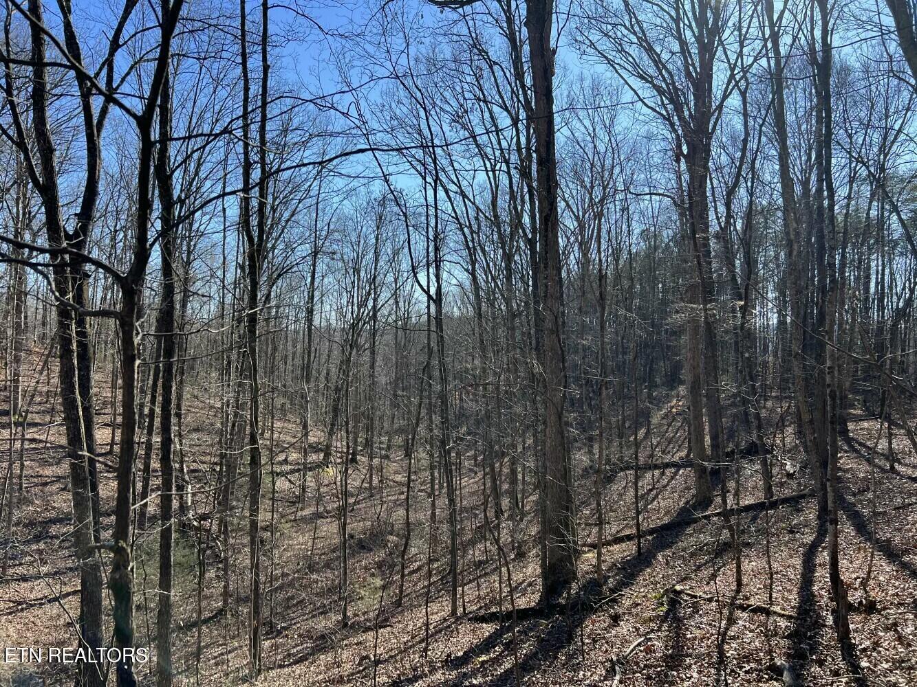 3229 Highway 11W Rutledge, TN 37861 - Photo 52 of 56 tempImagef5WbCs