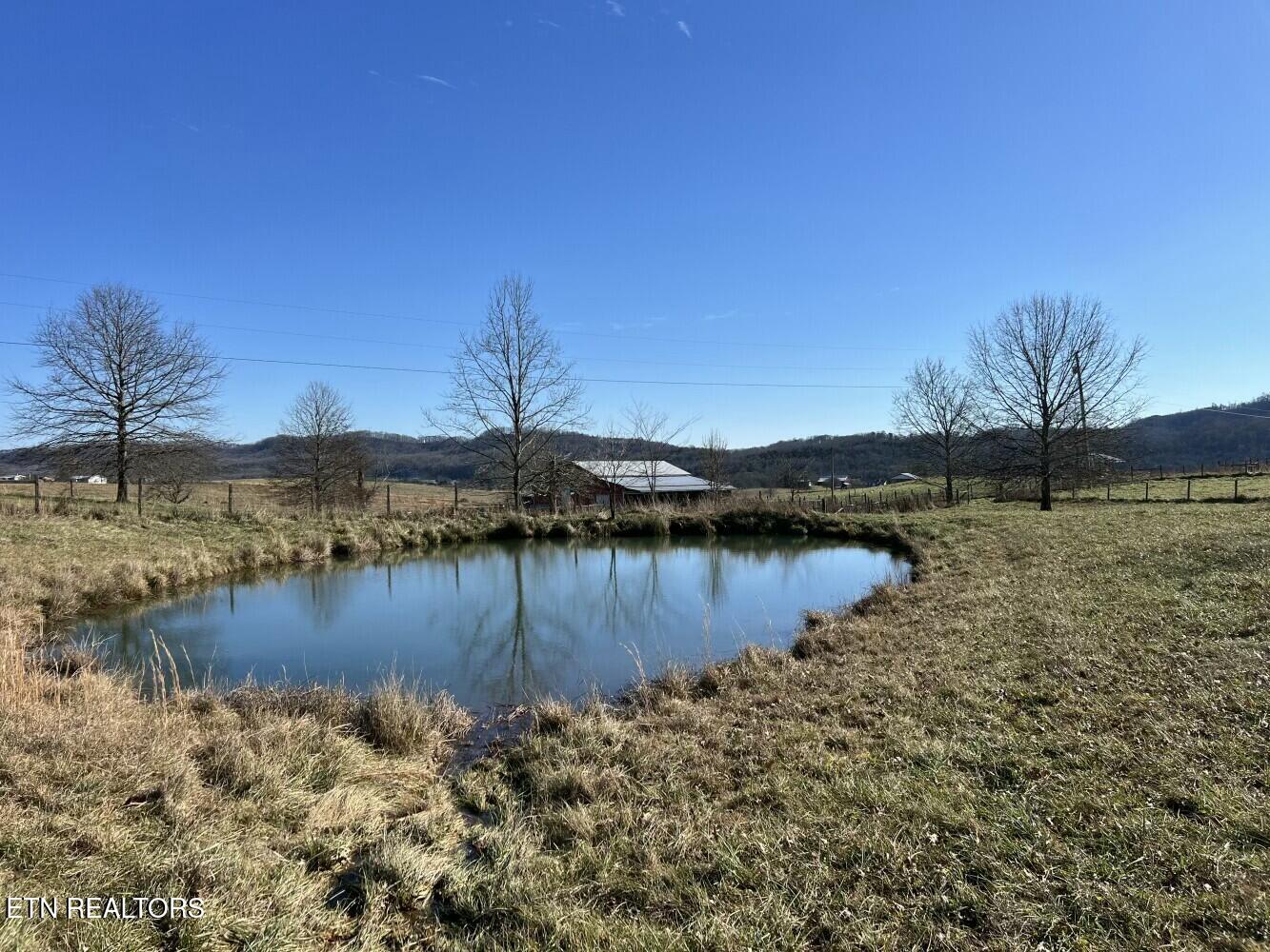 3229 Highway 11W Rutledge, TN 37861 - Photo 53 of 56 tempImage9gJ3wK
