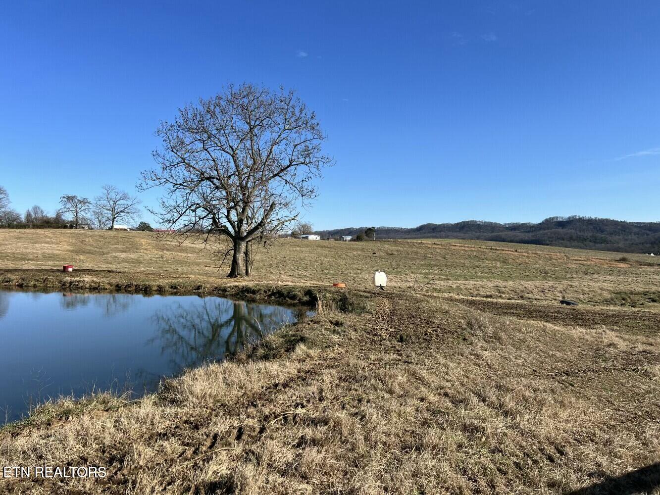 3229 Highway 11W Rutledge, TN 37861 - Photo 6 of 56 tempImage66jd47