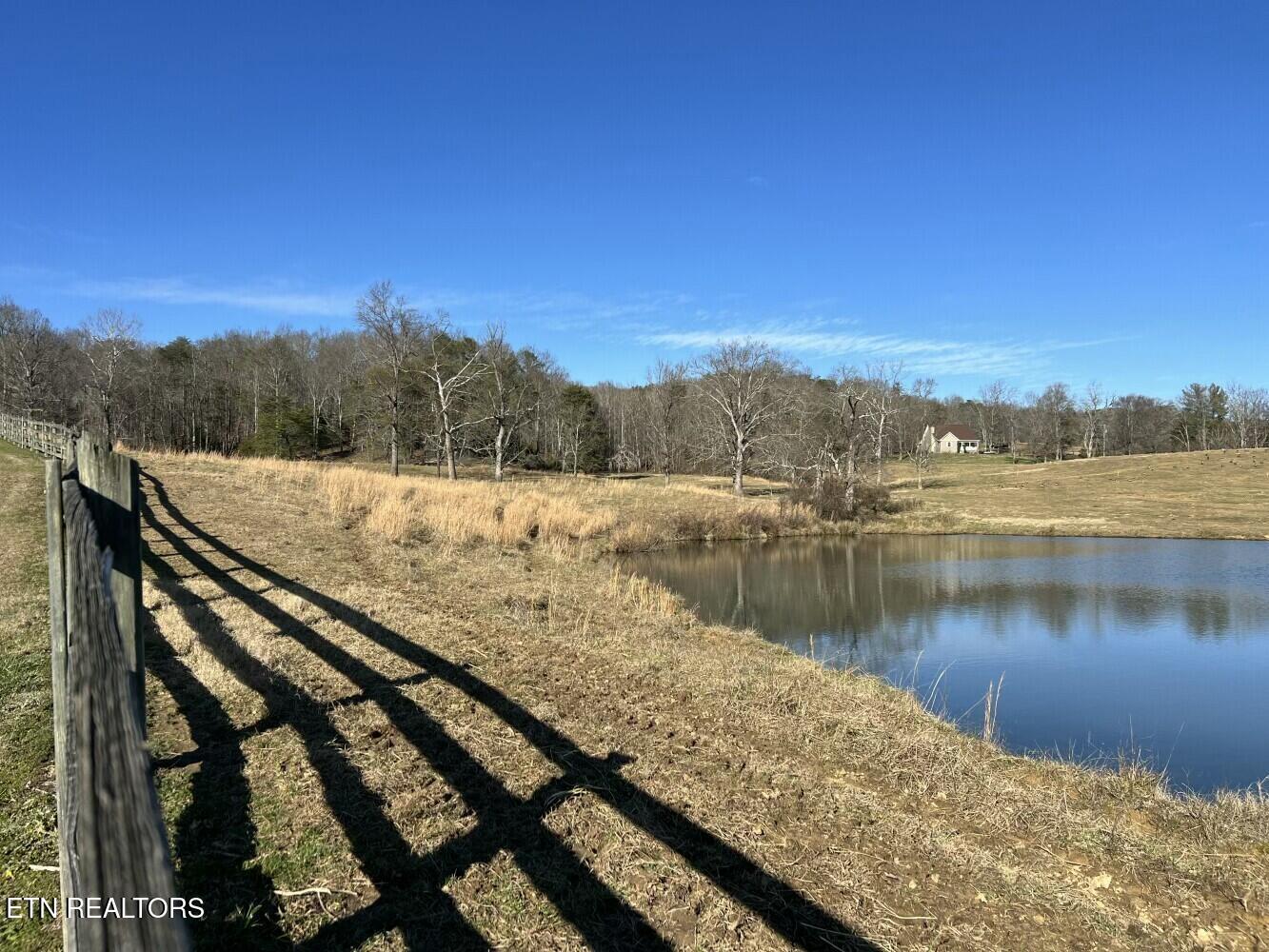 3229 Highway 11W Rutledge, TN 37861 - Photo 7 of 56 tempImages7OZsY