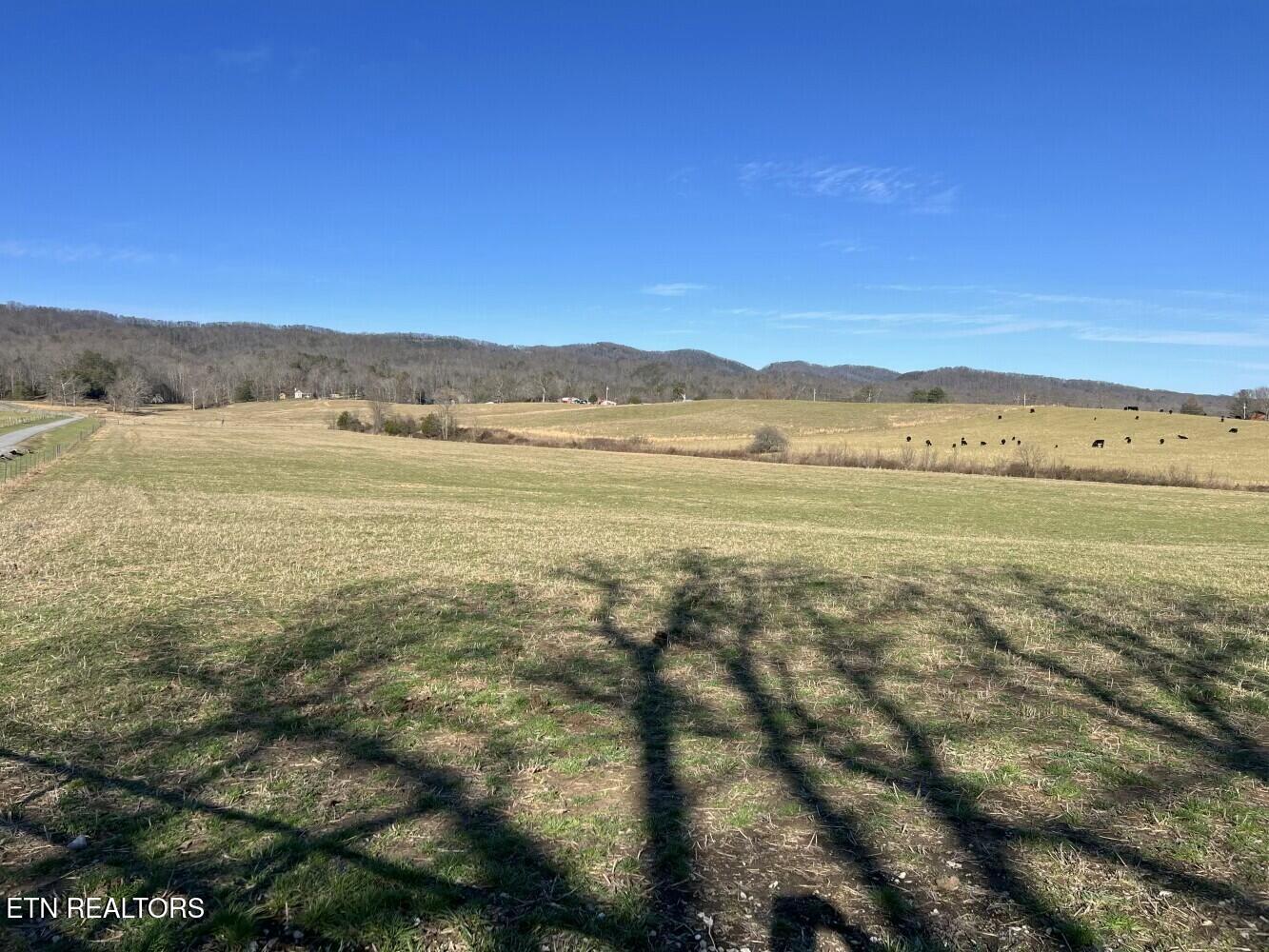 3229 Highway 11W Rutledge, TN 37861 - Photo 9 of 56 tempImagesY86x7