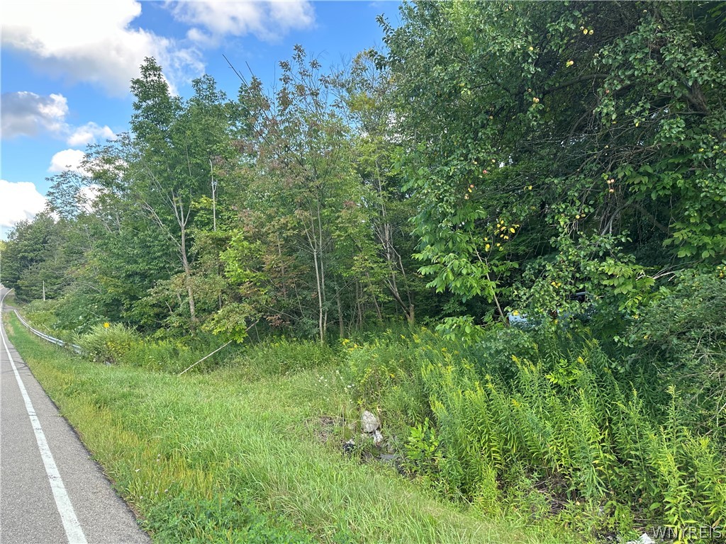 V/l Genesee Road Lawtons, NY 14091 - Photo 13 of 19 entry to short access driveway