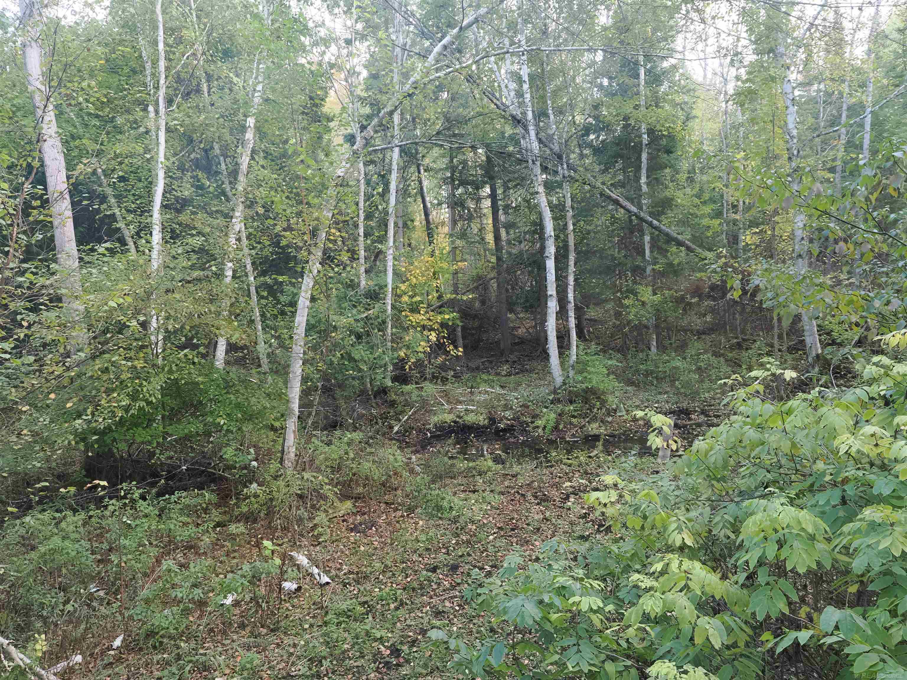 Xxx Tolan Road Spruce, MI 48762 - Photo 44 of 79