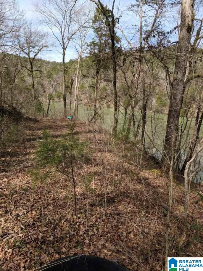 167 Big Shoals Road, Unit LOT 14 Adger, AL 35006 - Photo 8 of 12