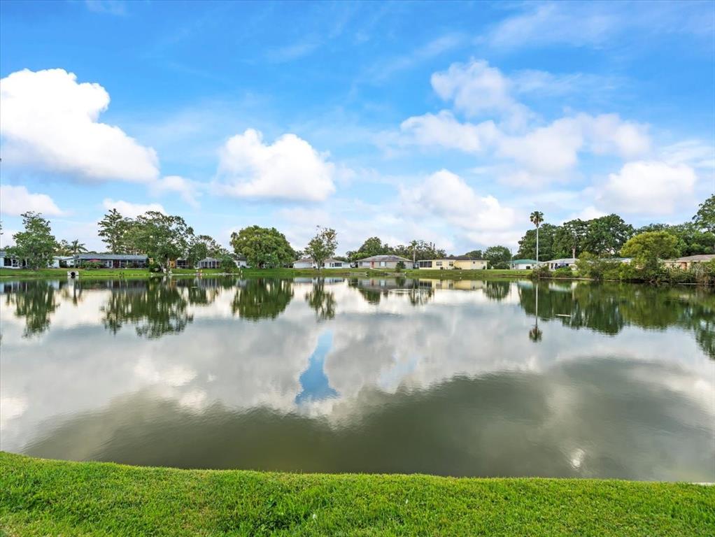 7624 Summertree Lane New Port Richey, FL 34653 - Photo 44 of 47