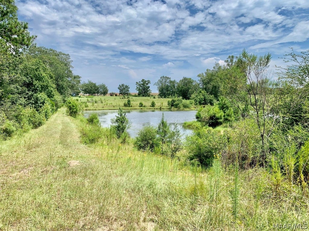 28-acres Ballard Road Black, AL 36314 - Photo 11 of 19 Gallery Image 11