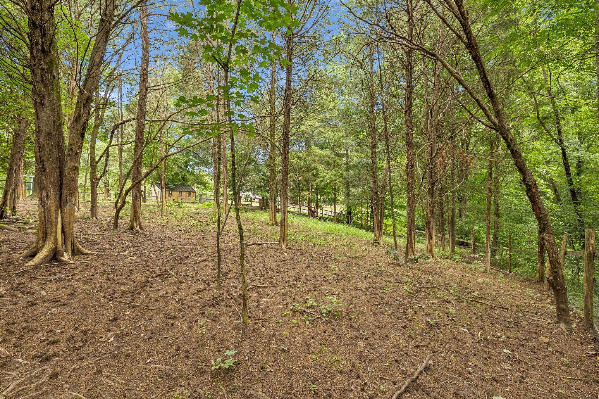 1200 Dawson Road White Bluff, TN 37187 - Photo 85 of 91 Gallery Image 85