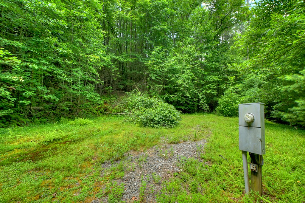 600 Conasauga Road Ellijay, GA 30540 - Photo 62 of 68 Gallery Image 62