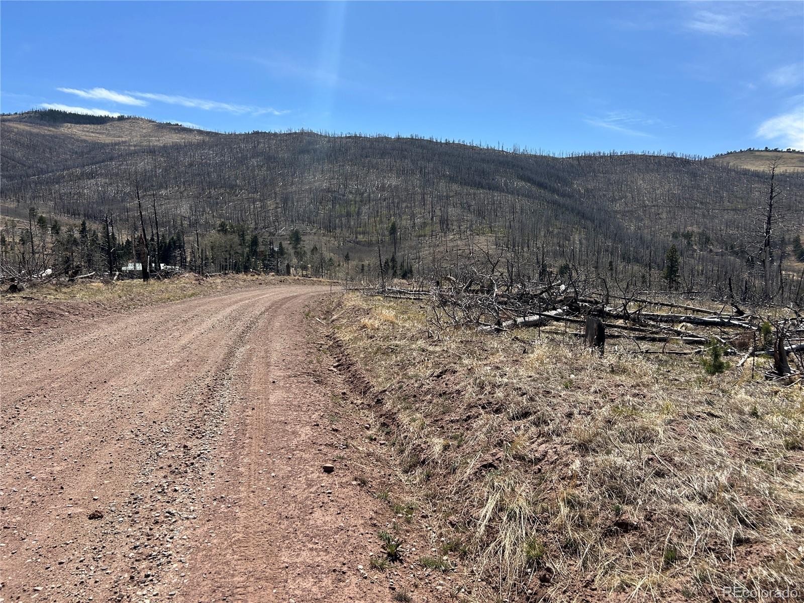Lot 1039 Forbes Park Ranch Fort Garland, CO 81133 - Photo 1 of 17 a view of a dry yard with trees in the background