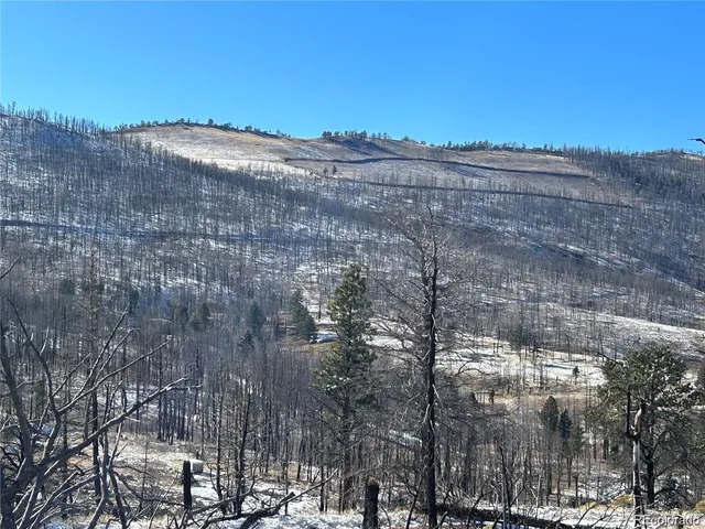 $15,000 | Lot 1039 Forbes Park Ranch, Fort Garland, CO 81133