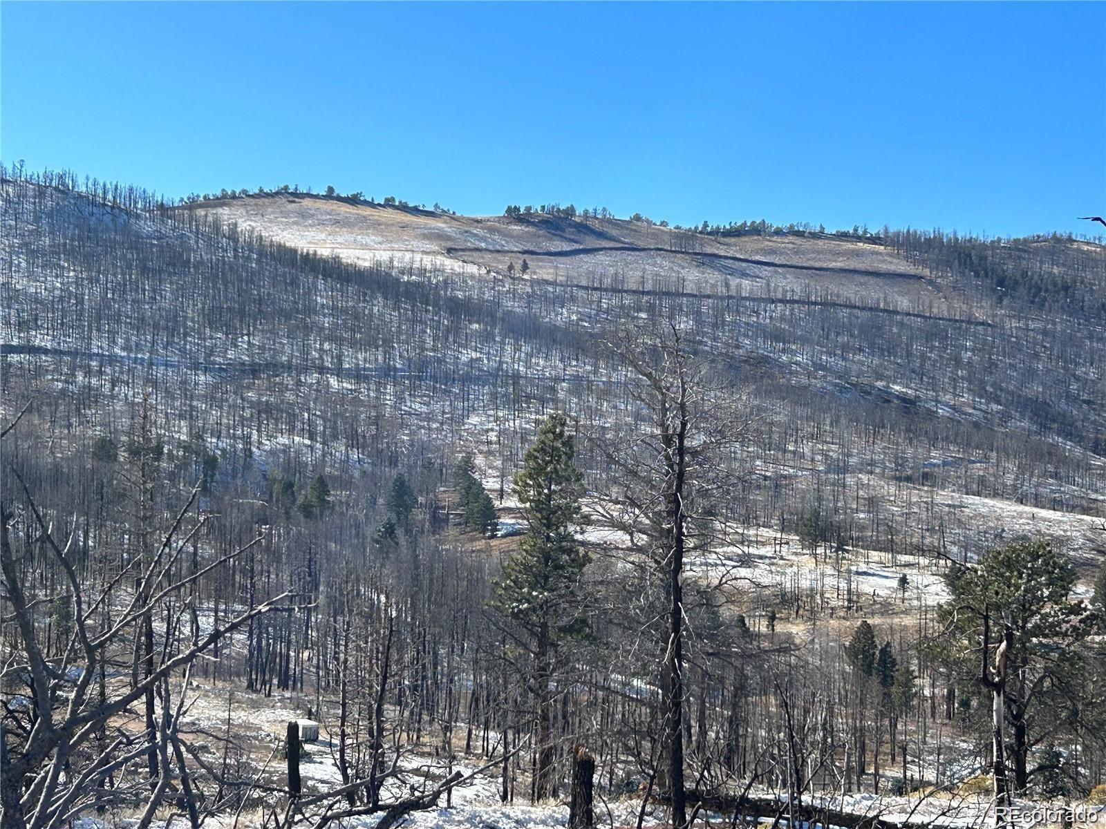 Lot 1039 Forbes Park Ranch Fort Garland, CO 81133 - Photo 1 of 4