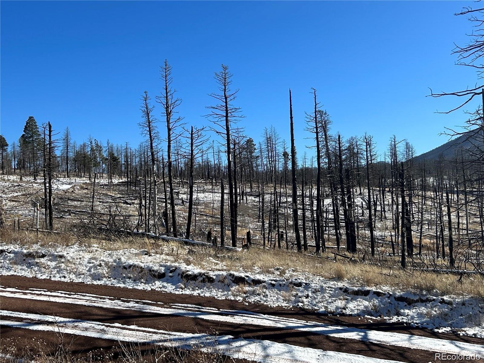 Lot 1039 Forbes Park Ranch Fort Garland, CO 81133 - Photo 2 of 4