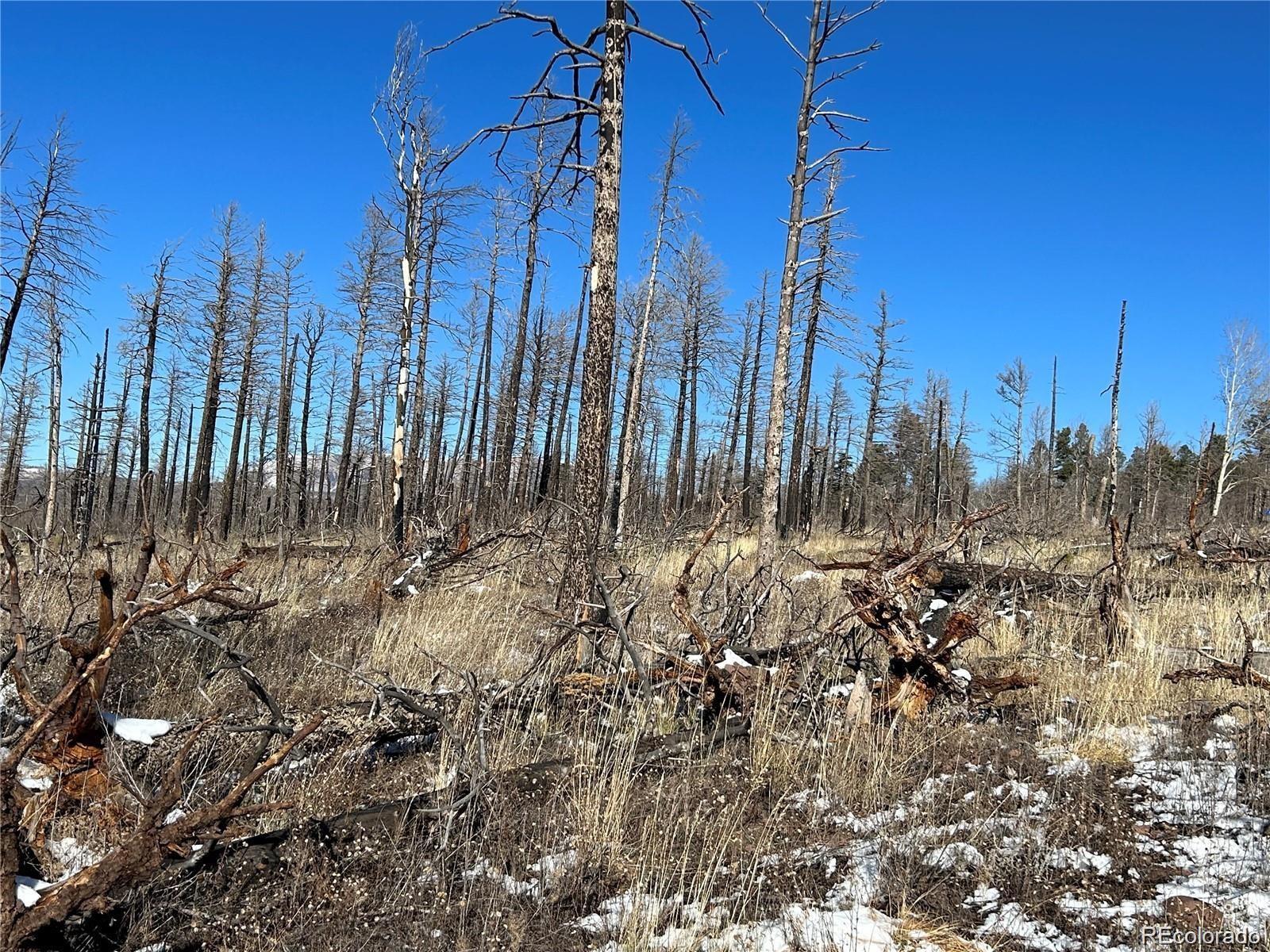 Lot 1039 Forbes Park Ranch Fort Garland, CO 81133 - Photo 3 of 4
