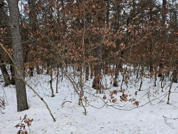 $11,400 | V/l Unity, Chase, MI 49642