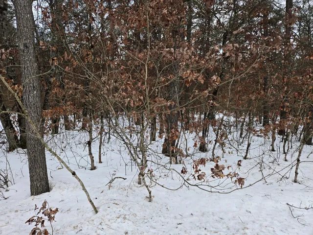 $11,400 | V/l V/l Unity, Chase, MI 49623