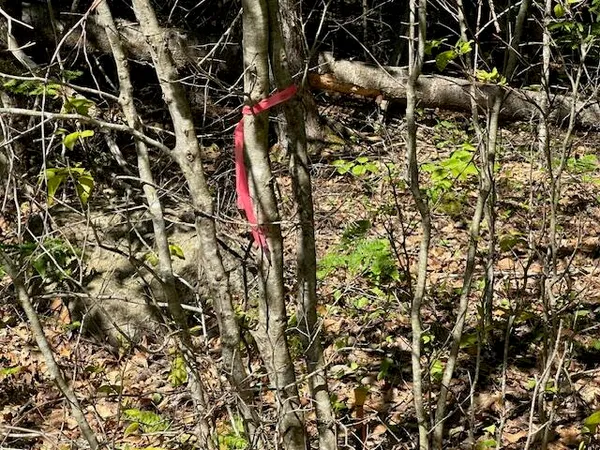 $60,000 | Lot #8 Bonnie Way, Winterport, ME 04496