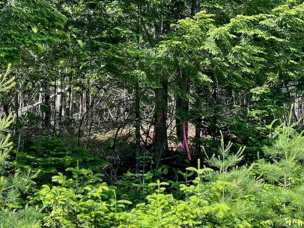 $60,000 | Lot #8 Bonnie Way, Winterport, ME 04496
