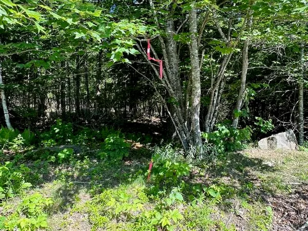 $60,000 | Lot #8 Bonnie Way, Winterport, ME 04496
