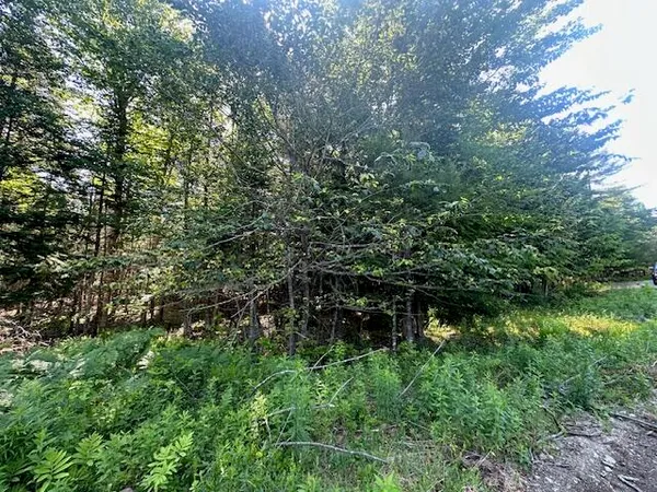 $60,000 | Lot #8 Bonnie Way, Winterport, ME 04496