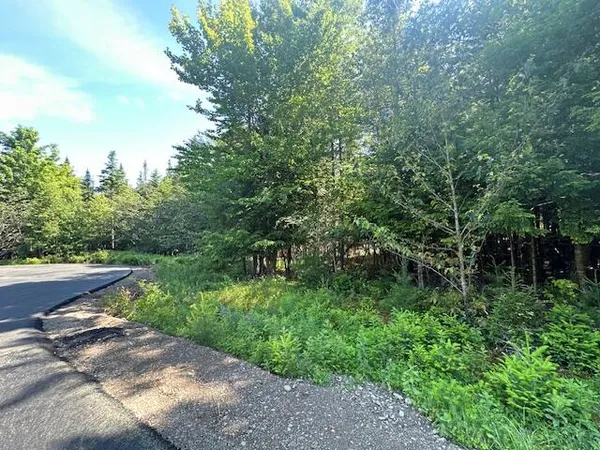 $60,000 | Lot #8 Bonnie Way, Winterport, ME 04496