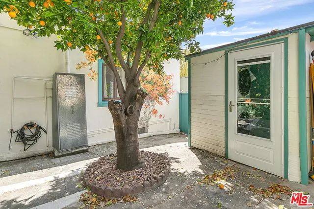 a view of a trees in front of a house