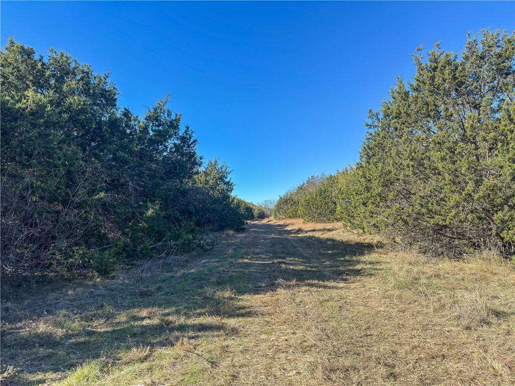 2 Talbert Ranch Road China Spring, TX 76633 - Photo 38 of 53 a view of a yard with an trees