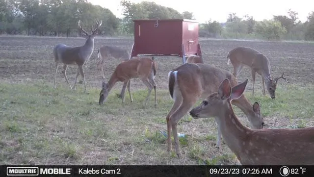 $299,000 | 2 Talbert Ranch Road, China Spring, TX 76633