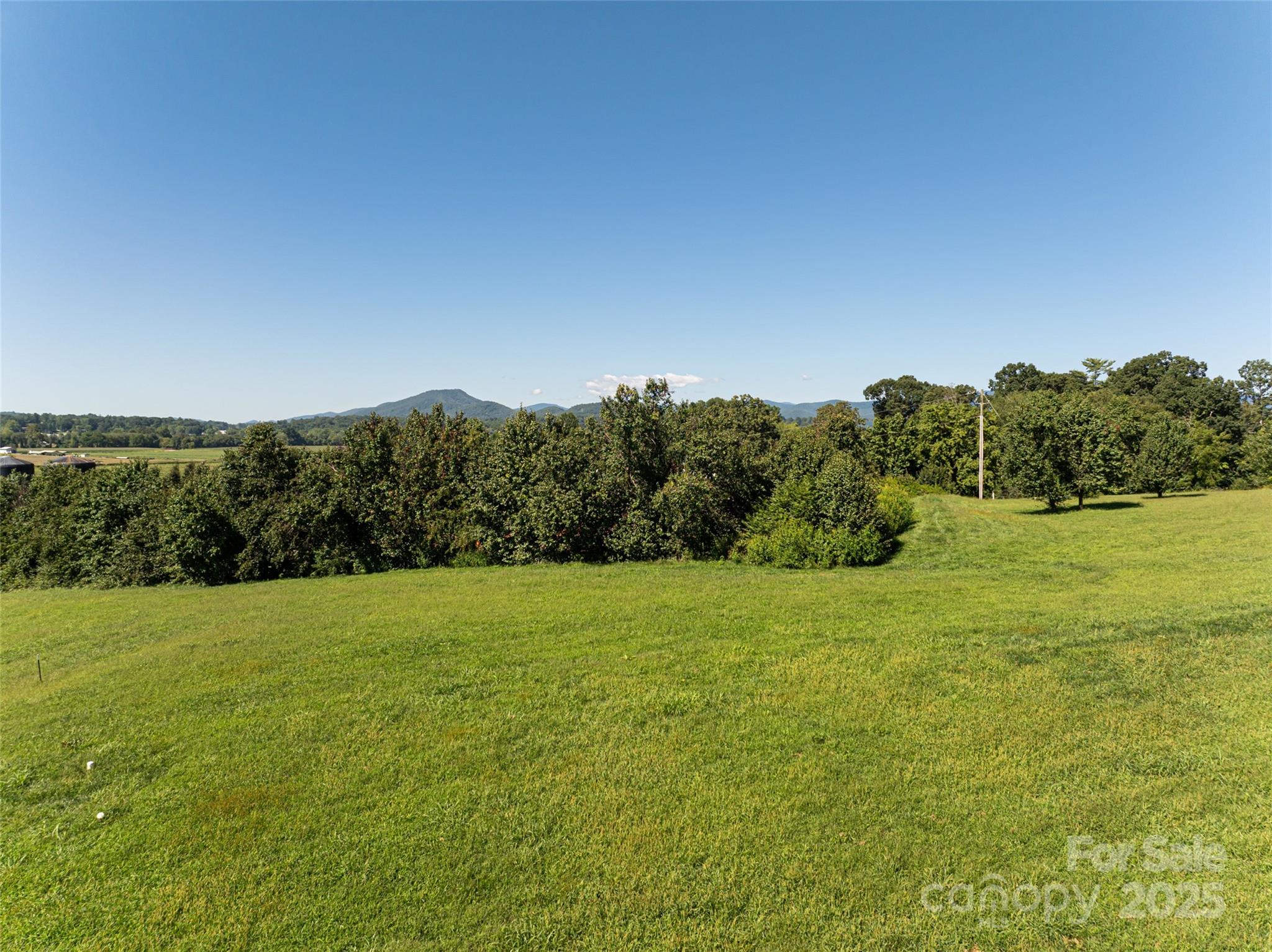 108 Double Knob Road, Unit 65 Mills River, NC 28759 - Photo 7 of 9 a view of grassy field with trees in background