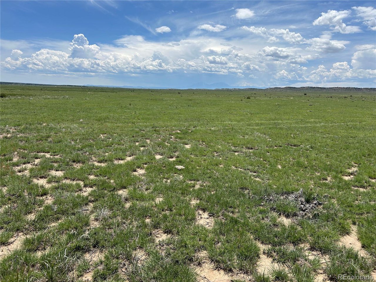 123 Turkey Ridge Ranch Walsenburg, CO 81089 - Photo 3 of 13