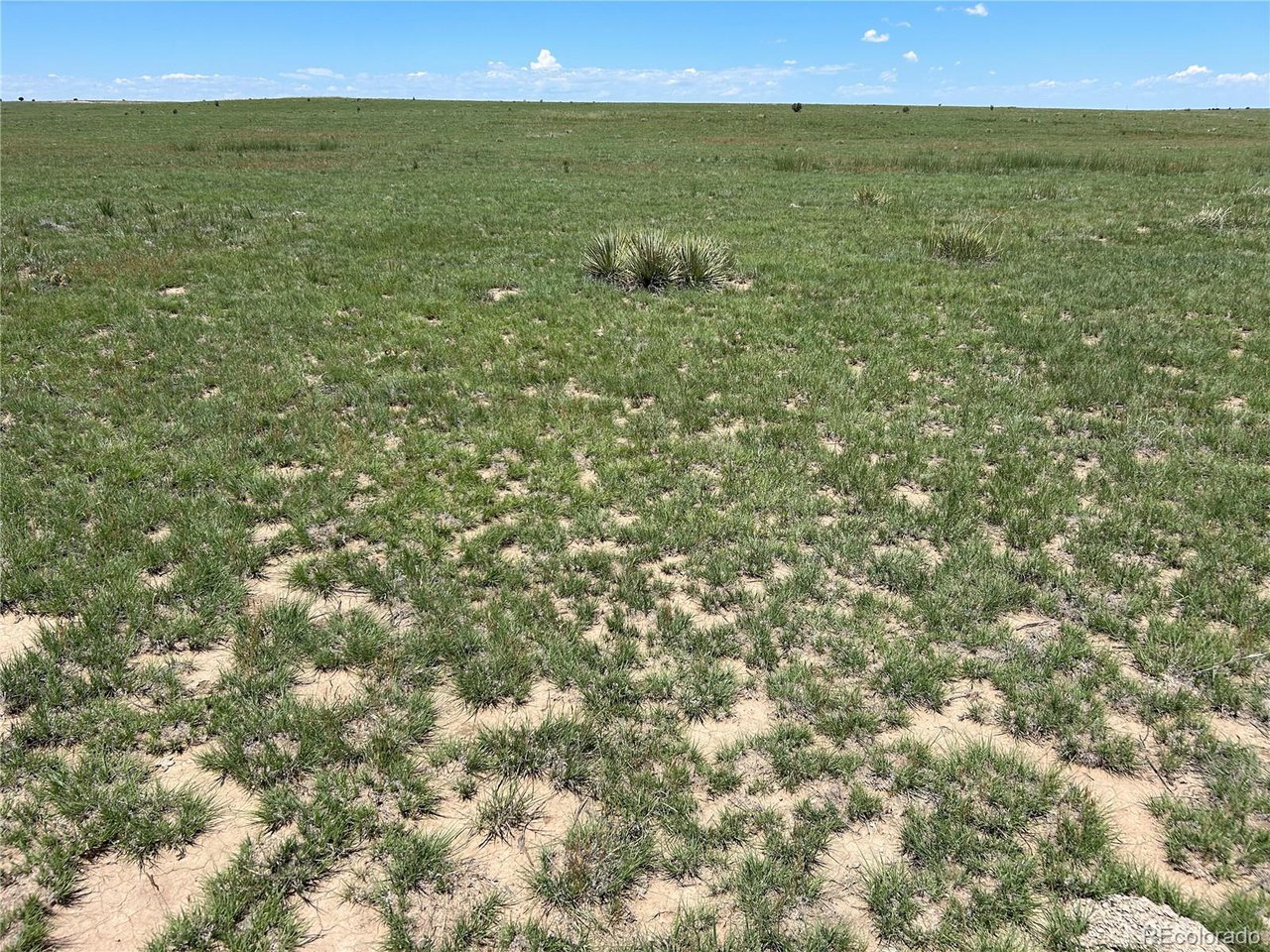 123 Turkey Ridge Ranch Walsenburg, CO 81089 - Photo 7 of 13