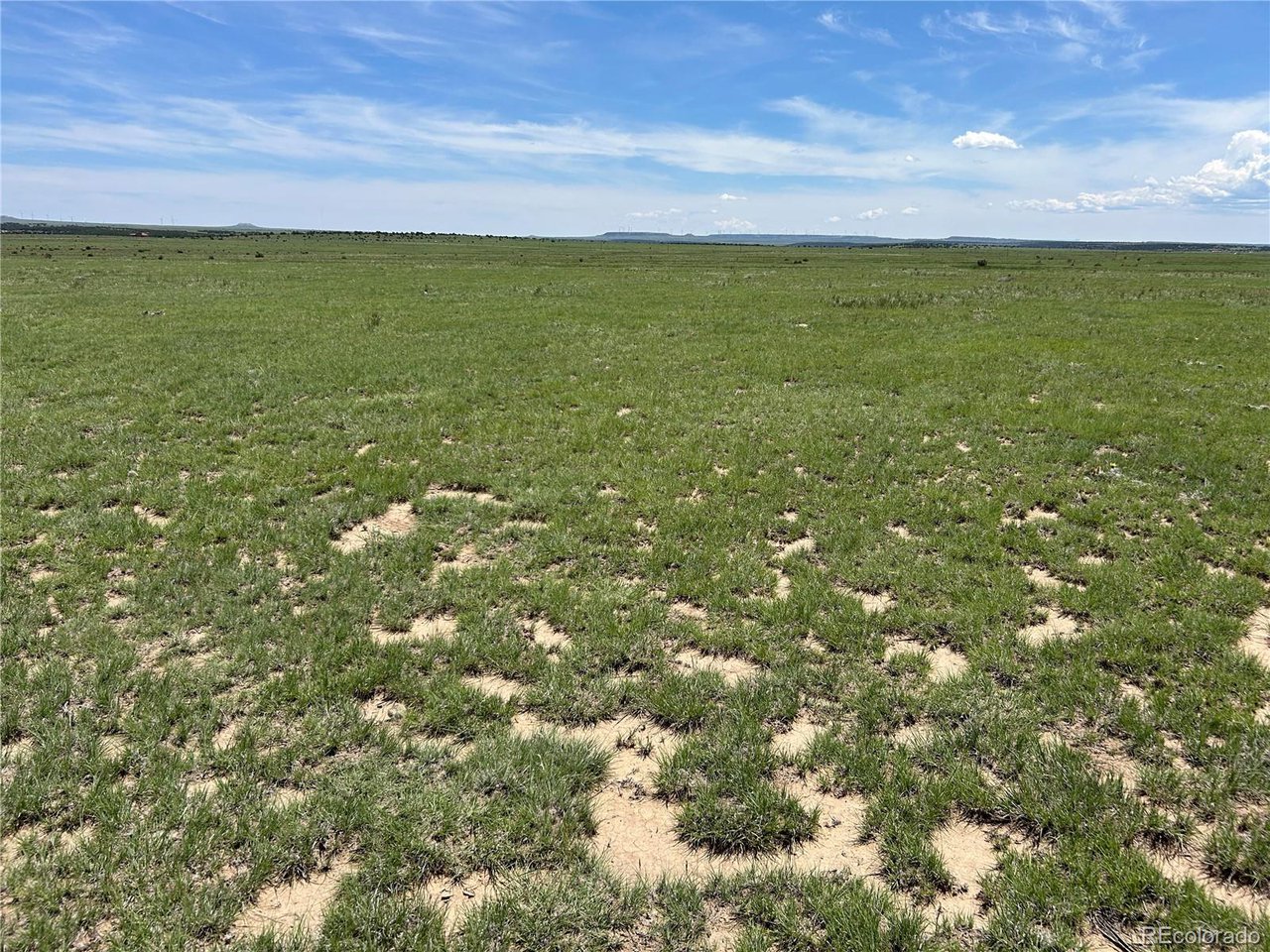 123 Turkey Ridge Ranch Walsenburg, CO 81089 - Photo 9 of 13